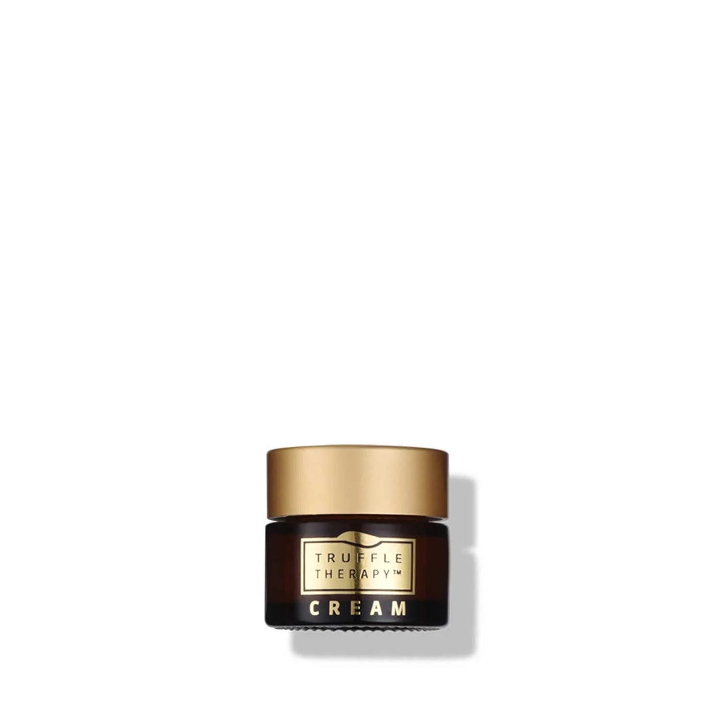 TRUFFLE THERAPY MOISTURE DEW DAY CRÈME TRAVEL SIZE